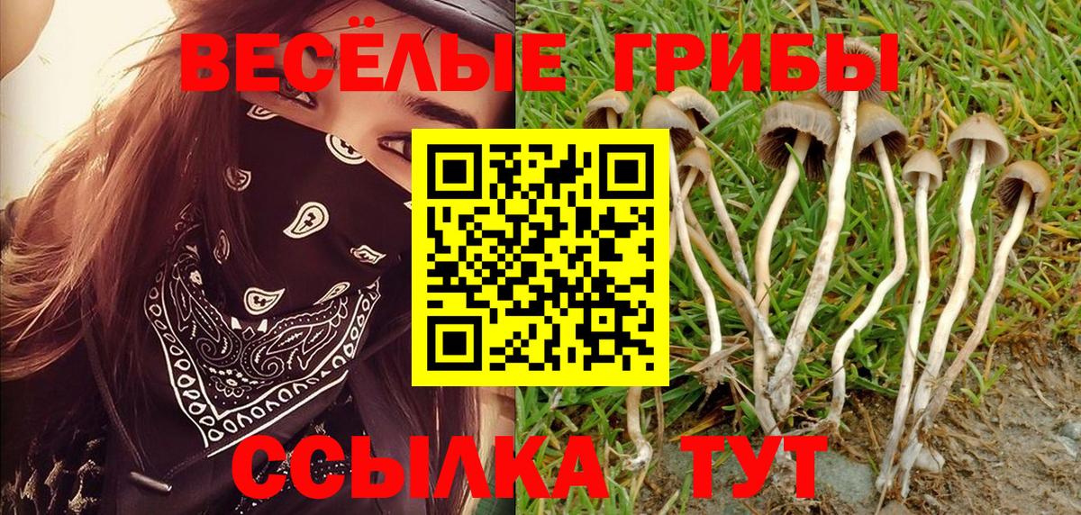 Галлюциногенные грибы Cubensis Великий Устюг