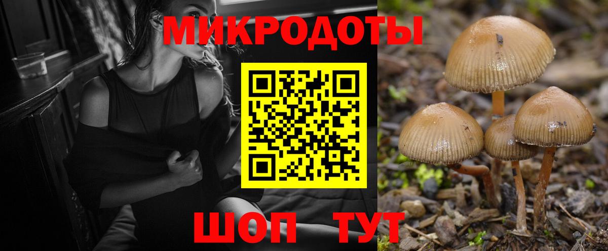 Псилоцибиновые грибы Psilocybe  Псилоцибиновые грибы мухоморы  Великий Устюг  Вход с VPN 